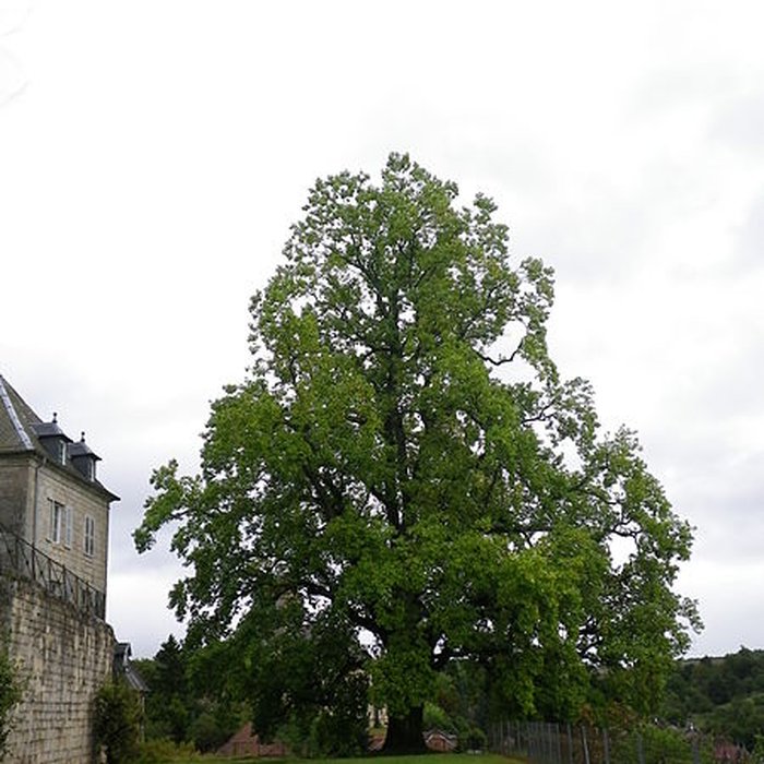 Photo de Château de Rupt-sur-Saône