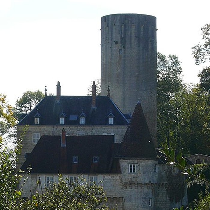 Photo de Château de Rupt-sur-Saône