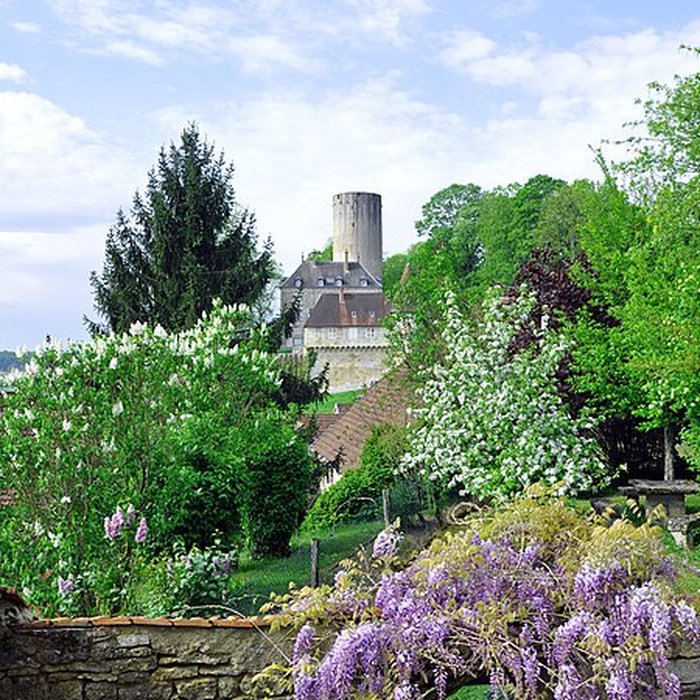 Photo de Château de Rupt-sur-Saône