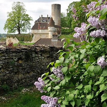 Château de Rupt-sur-Saône