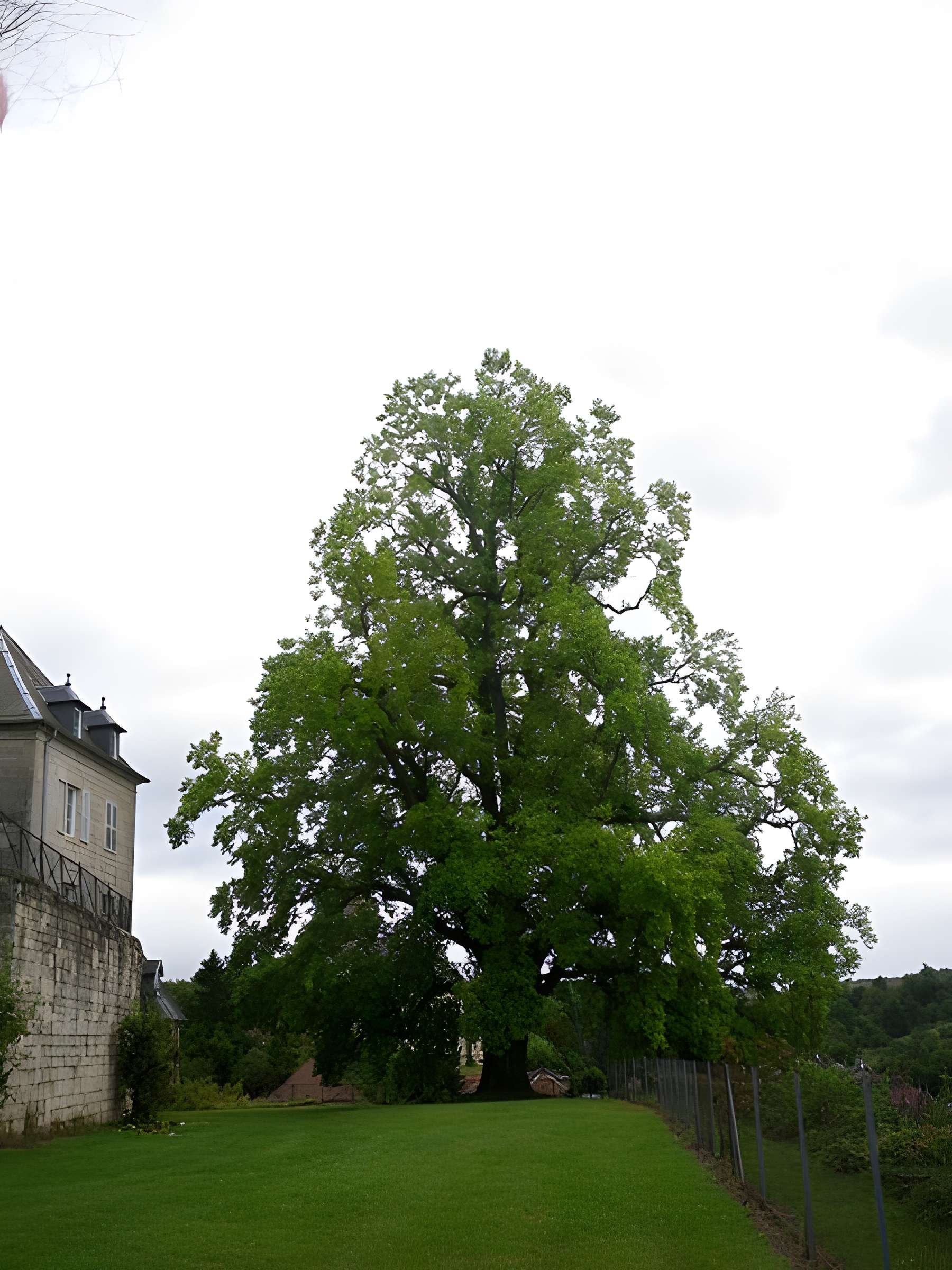 Château de Rupt-sur-Saône