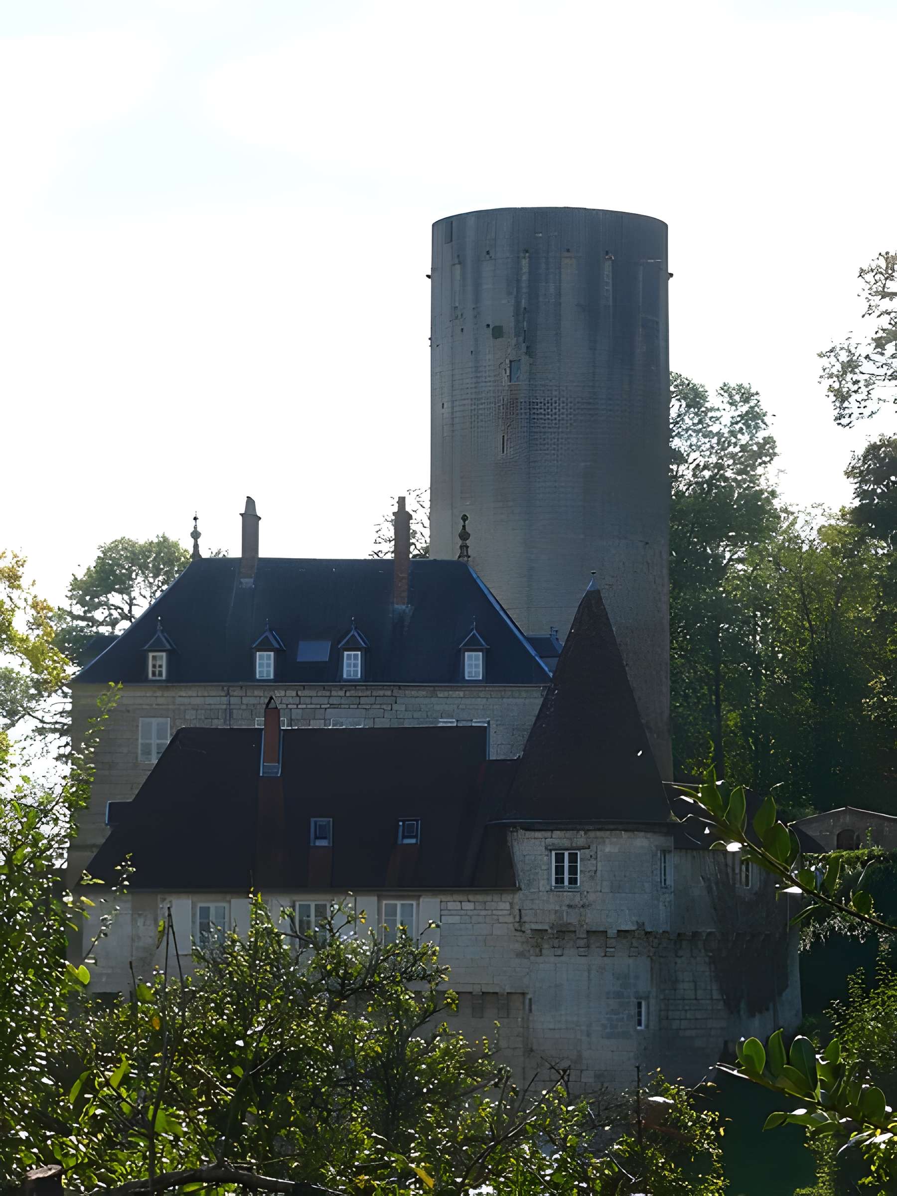 Château de Rupt-sur-Saône