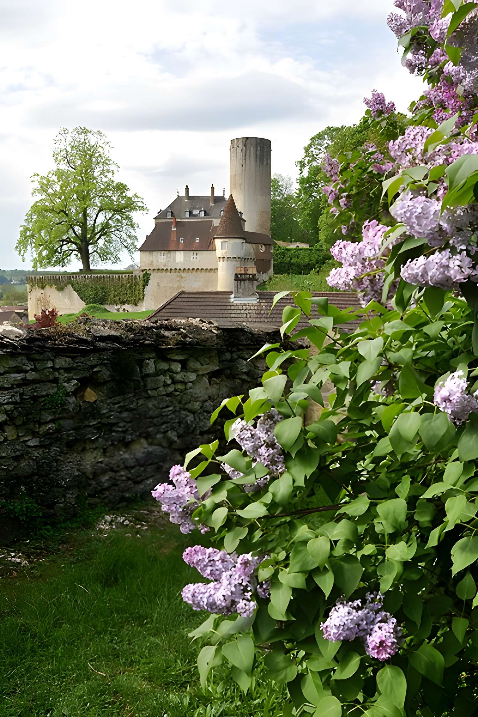 Château de Rupt-sur-Saône