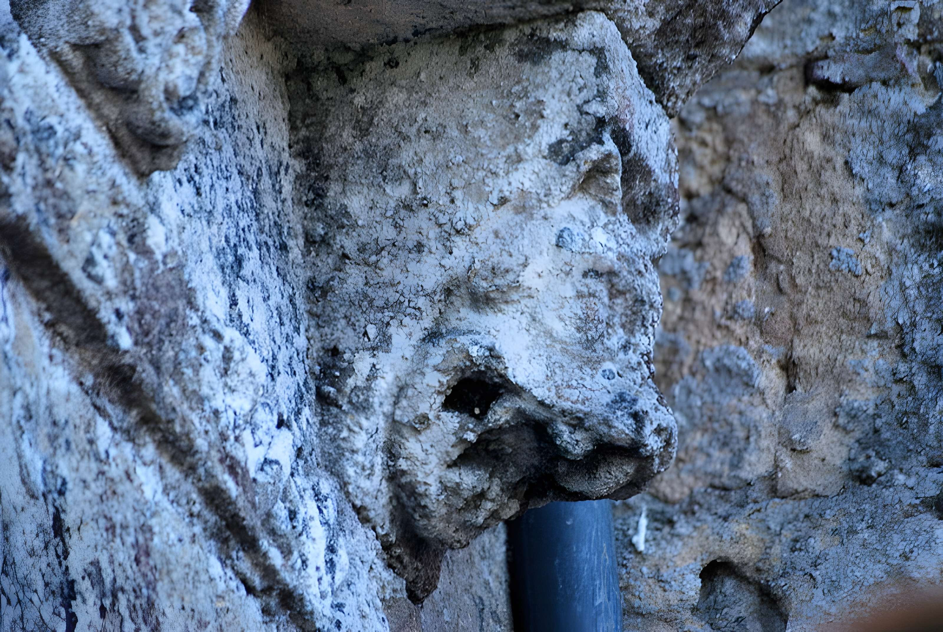 Église Saint-Maixant de Saint-Maixant