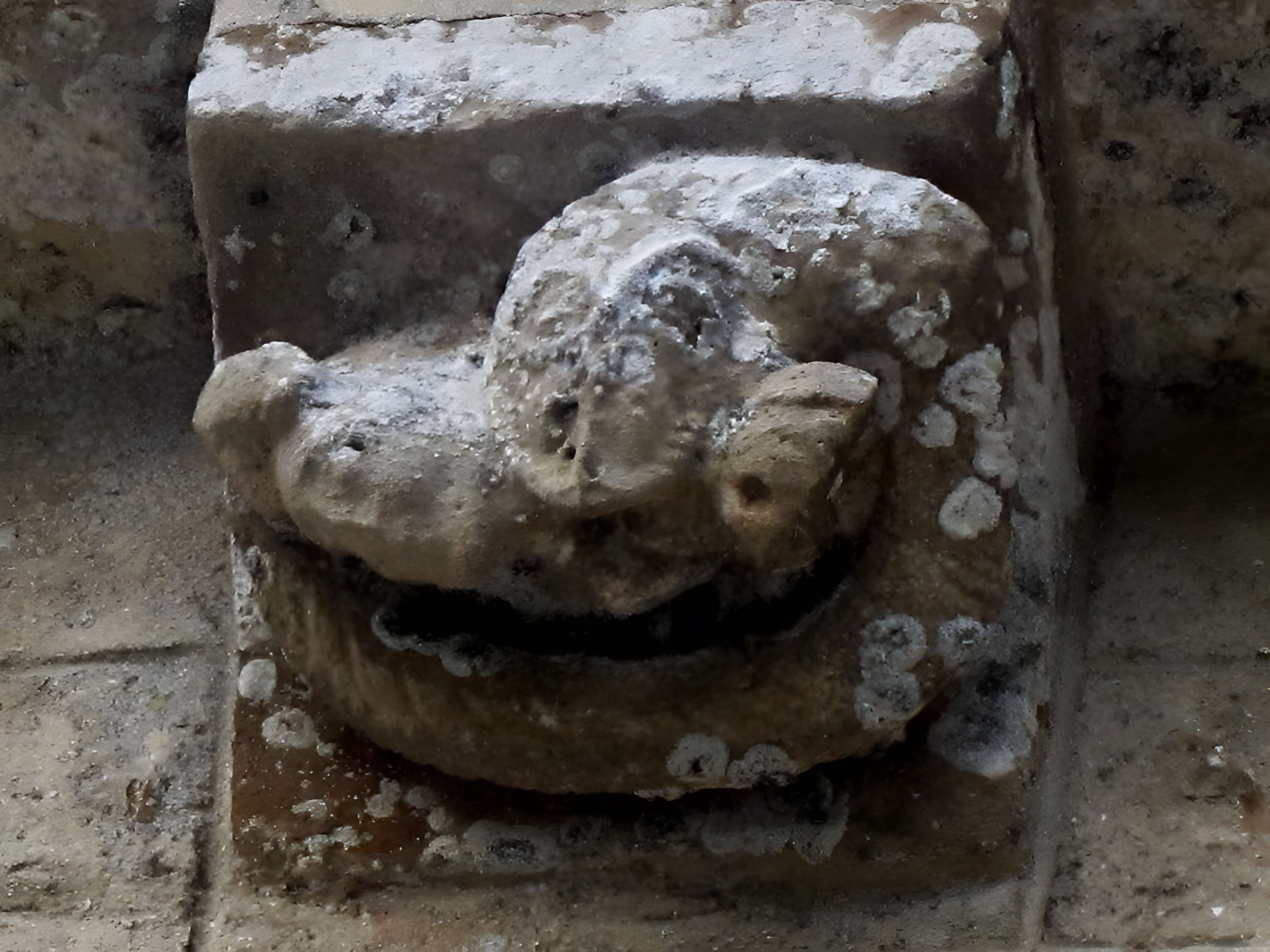 Église Saint-Marcouf de Saint-Marcouf