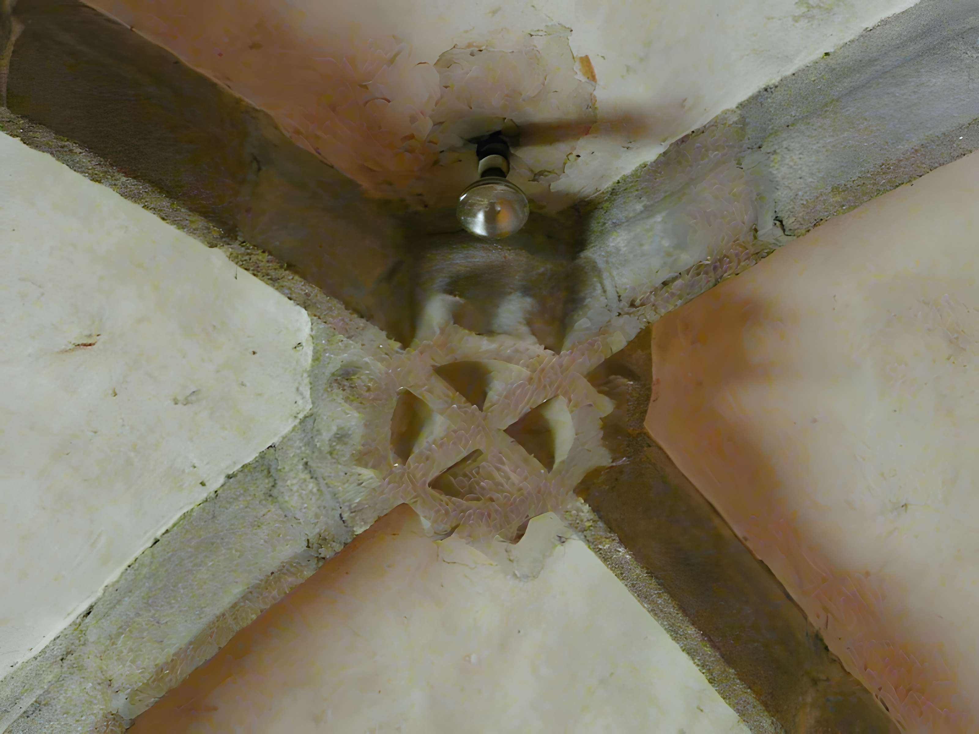 Église Saint-Martial de Busserolles