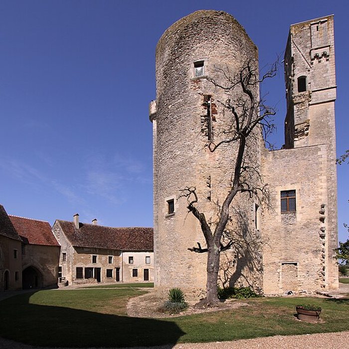 Photo de Château de Sagonne