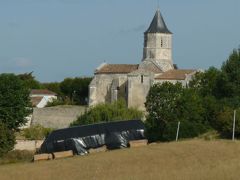 Photo de Église Saint-Martin d'Arces