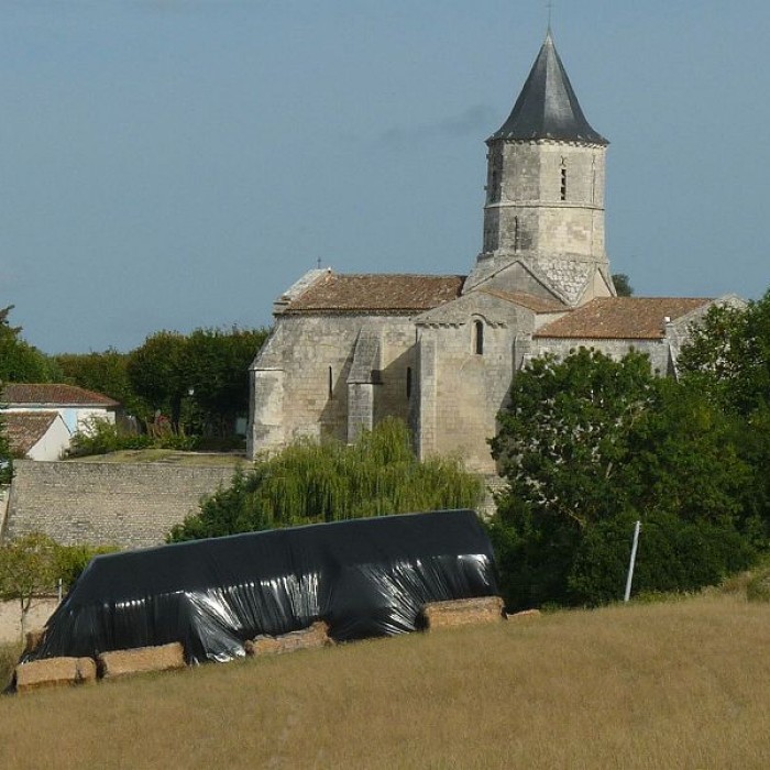 Photo de Église Saint-Martin dArces