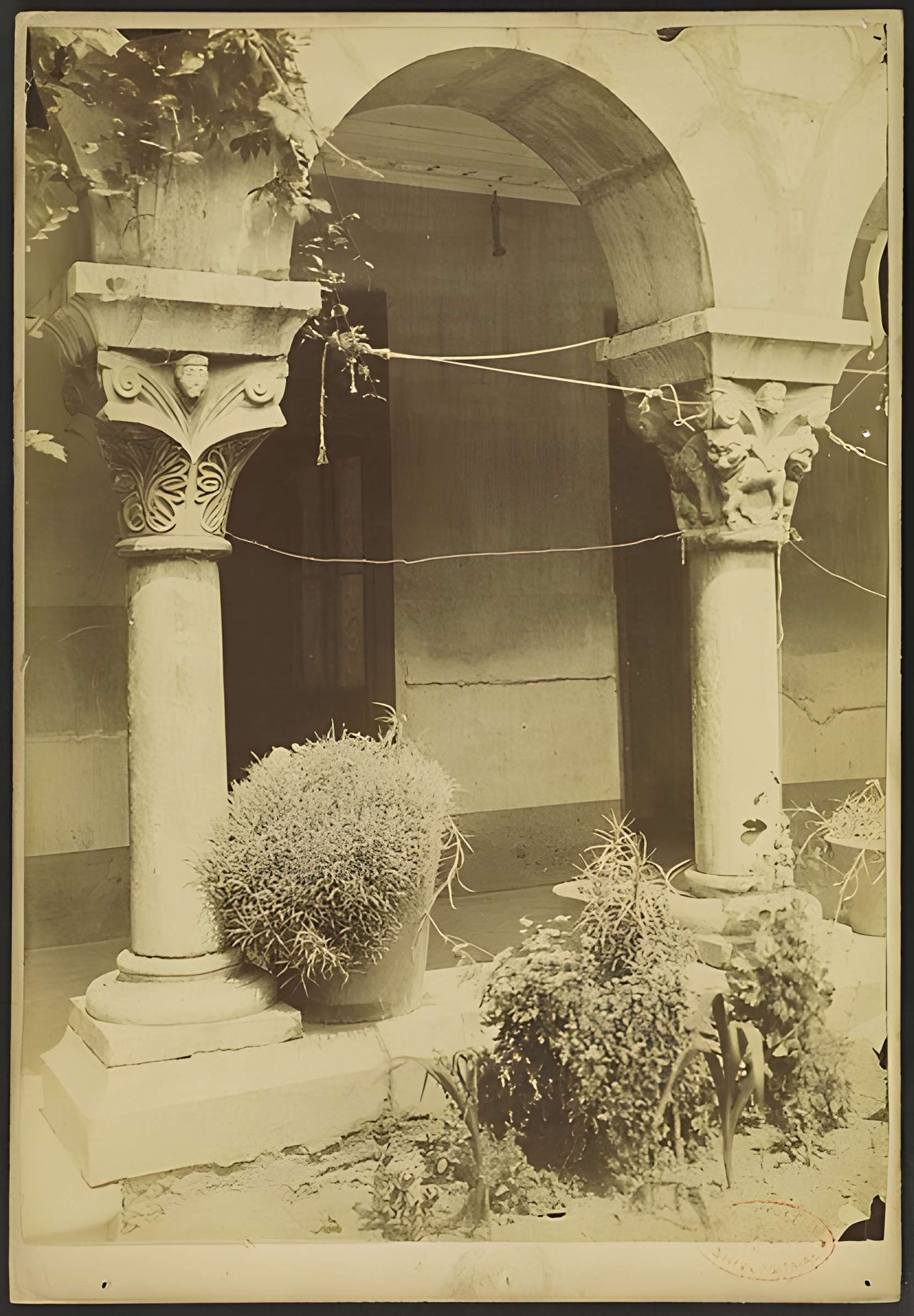 Abbaye de Saint-Michel de Cuxa