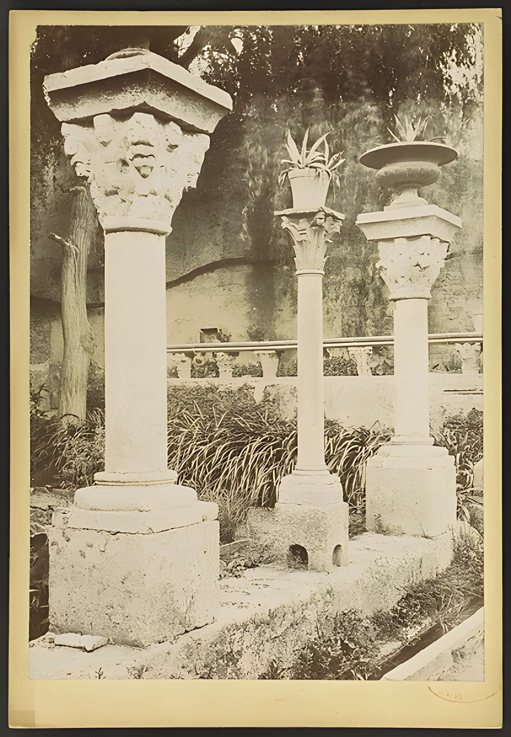 Abbaye de Saint-Michel de Cuxa