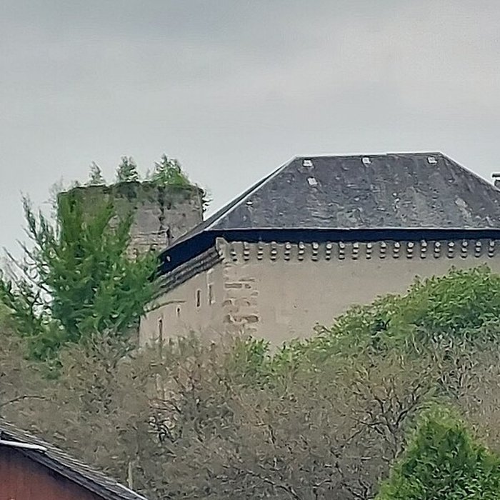 Photo de Château de Sainte-Hélène-sur-Isère