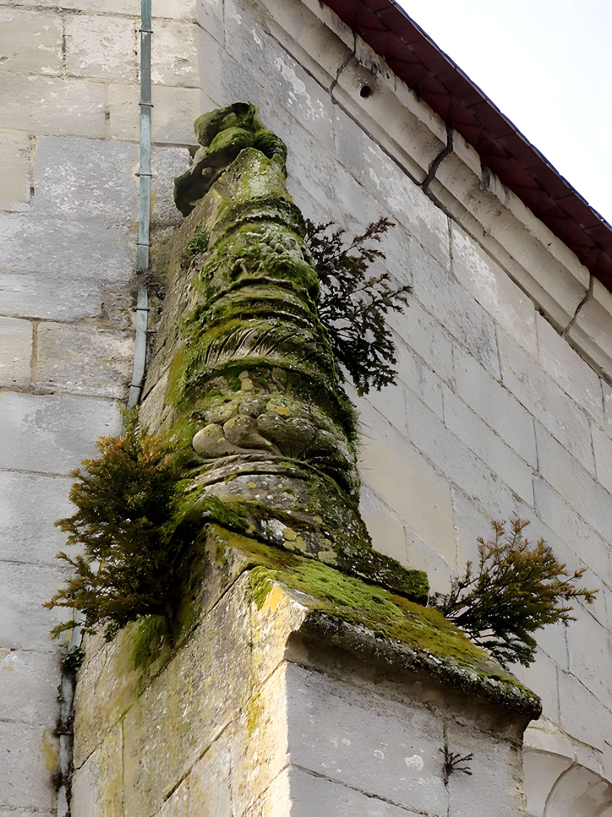Église Saint-Martin de Cauvigny