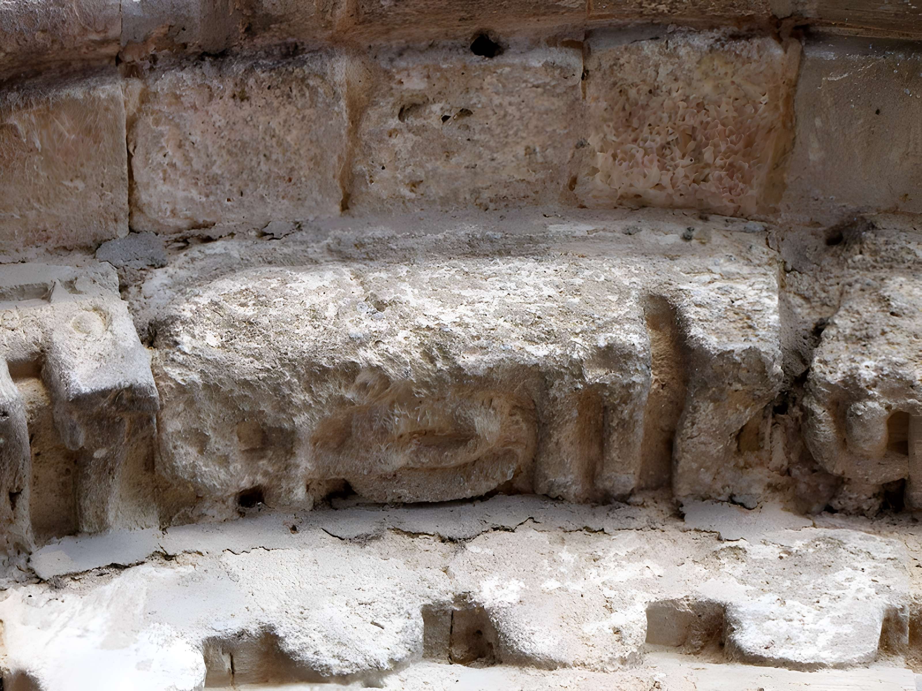 Église Saint-Martin de Cérons
