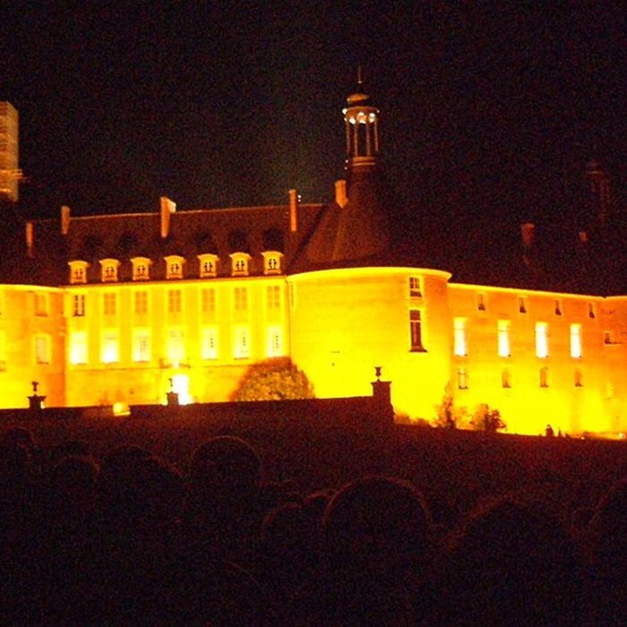 Photo de Château de Saint-Fargeau