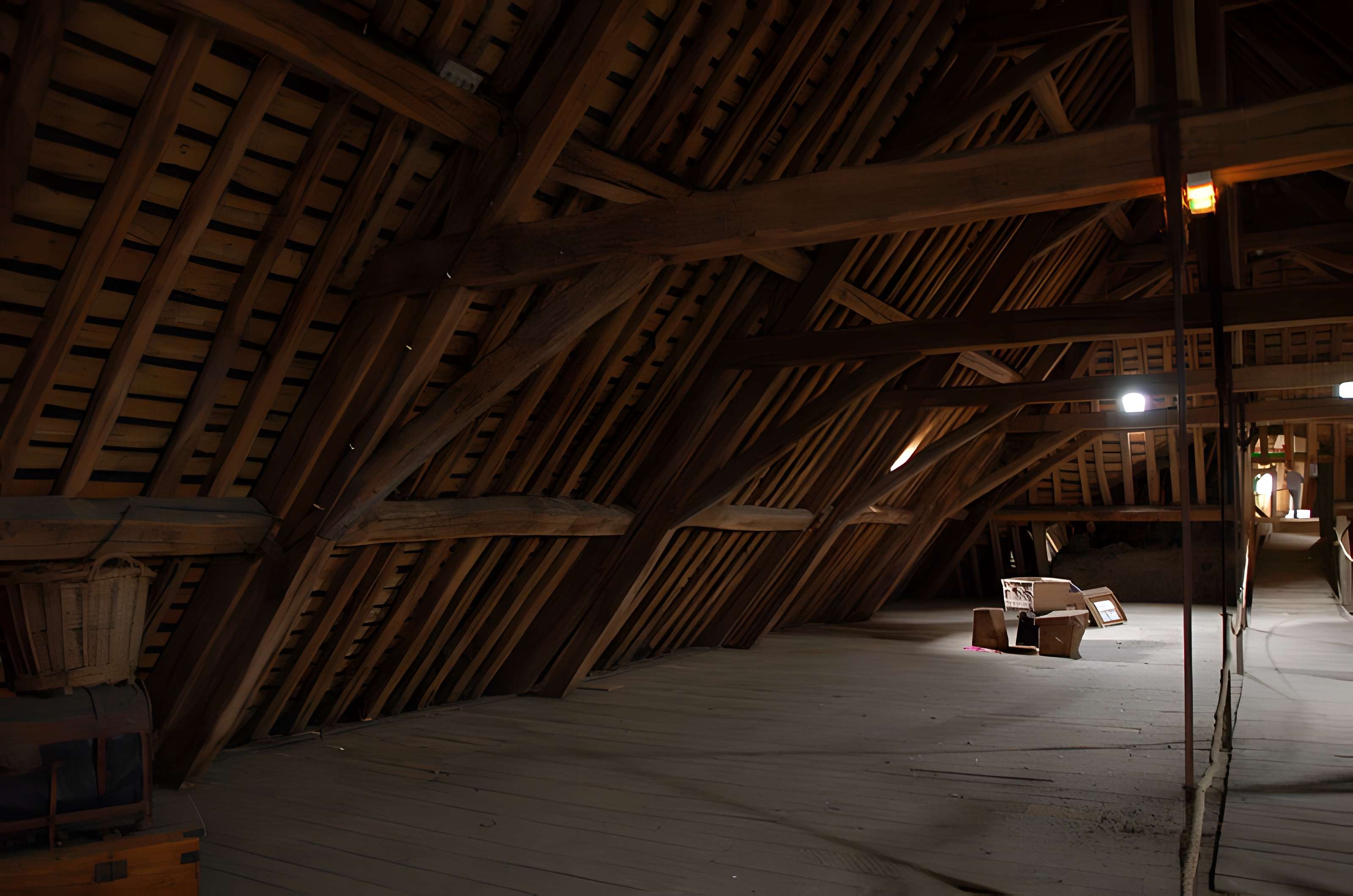 Château de Saint-Fargeau