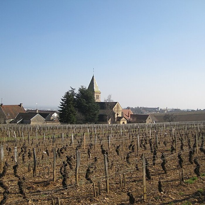 Photo de Église Saint-Martin de Fixin