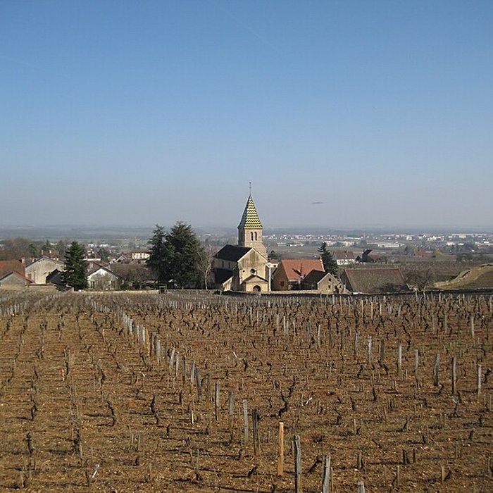 Photo de Église Saint-Martin de Fixin