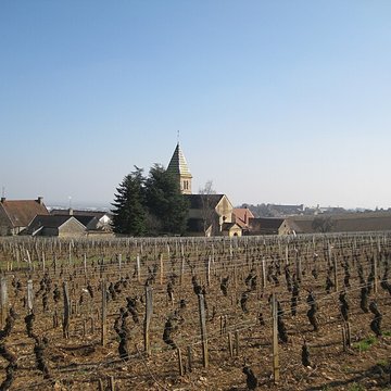 Église Saint-Martin de Fixin