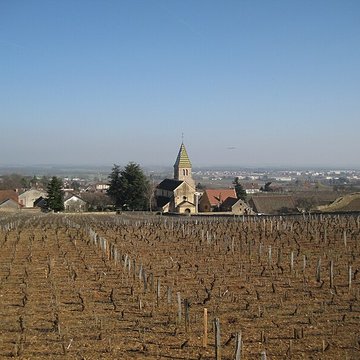 Église Saint-Martin de Fixin
