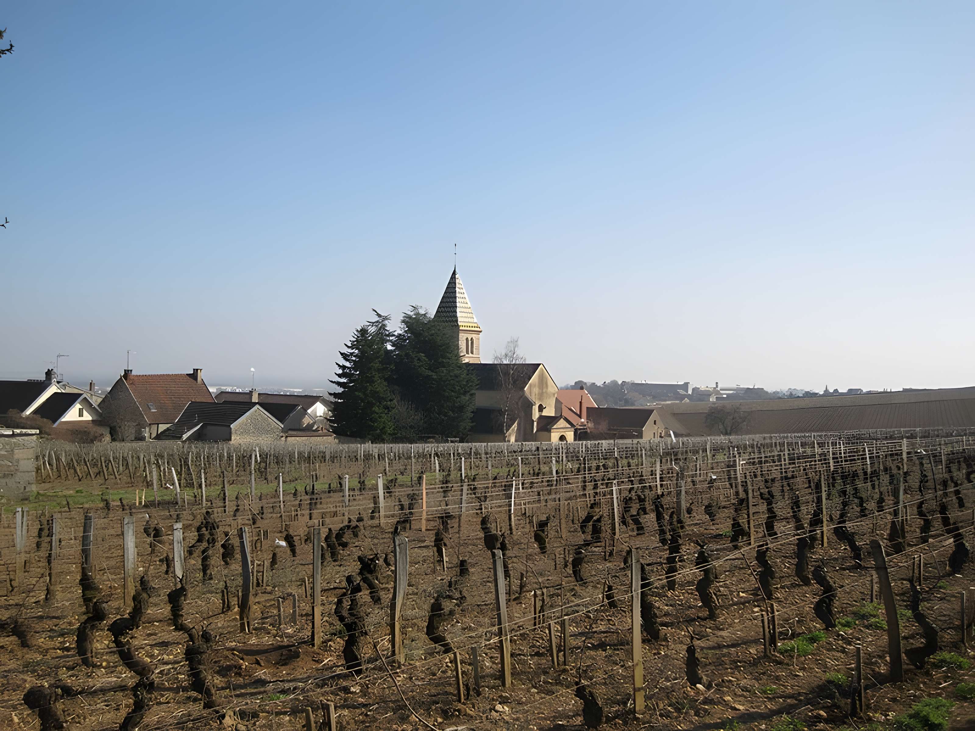 Église Saint-Martin de Fixin