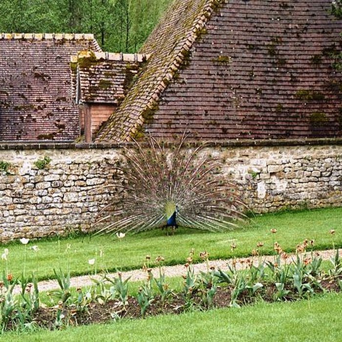 Photo de Château de Saint-Germain de Livet