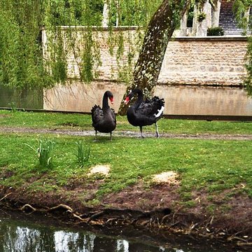 Château de Saint-Germain de Livet