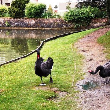 Château de Saint-Germain de Livet