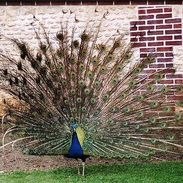 Château de Saint-Germain de Livet
