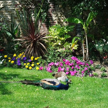 Château de Saint-Germain de Livet