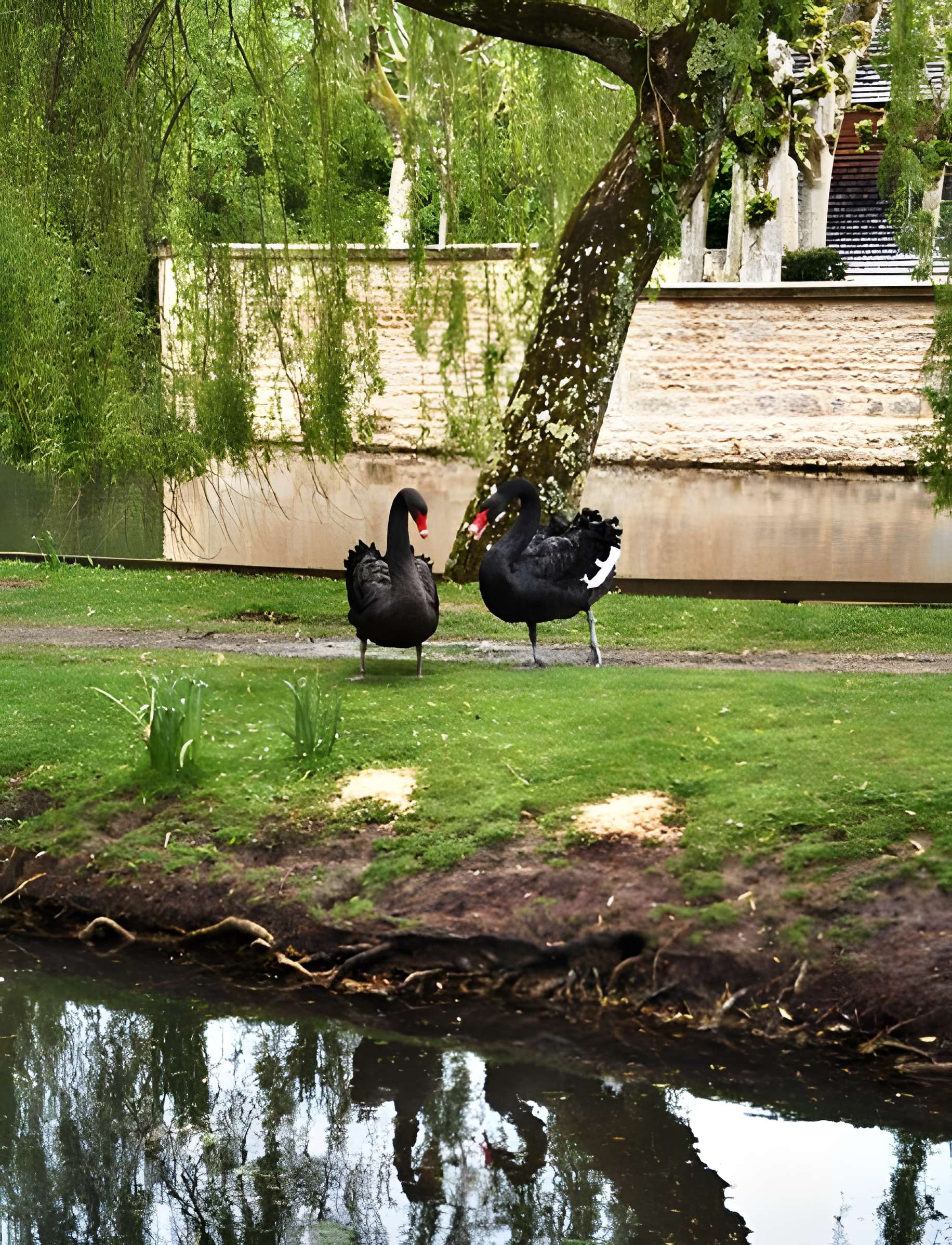 Château de Saint-Germain de Livet