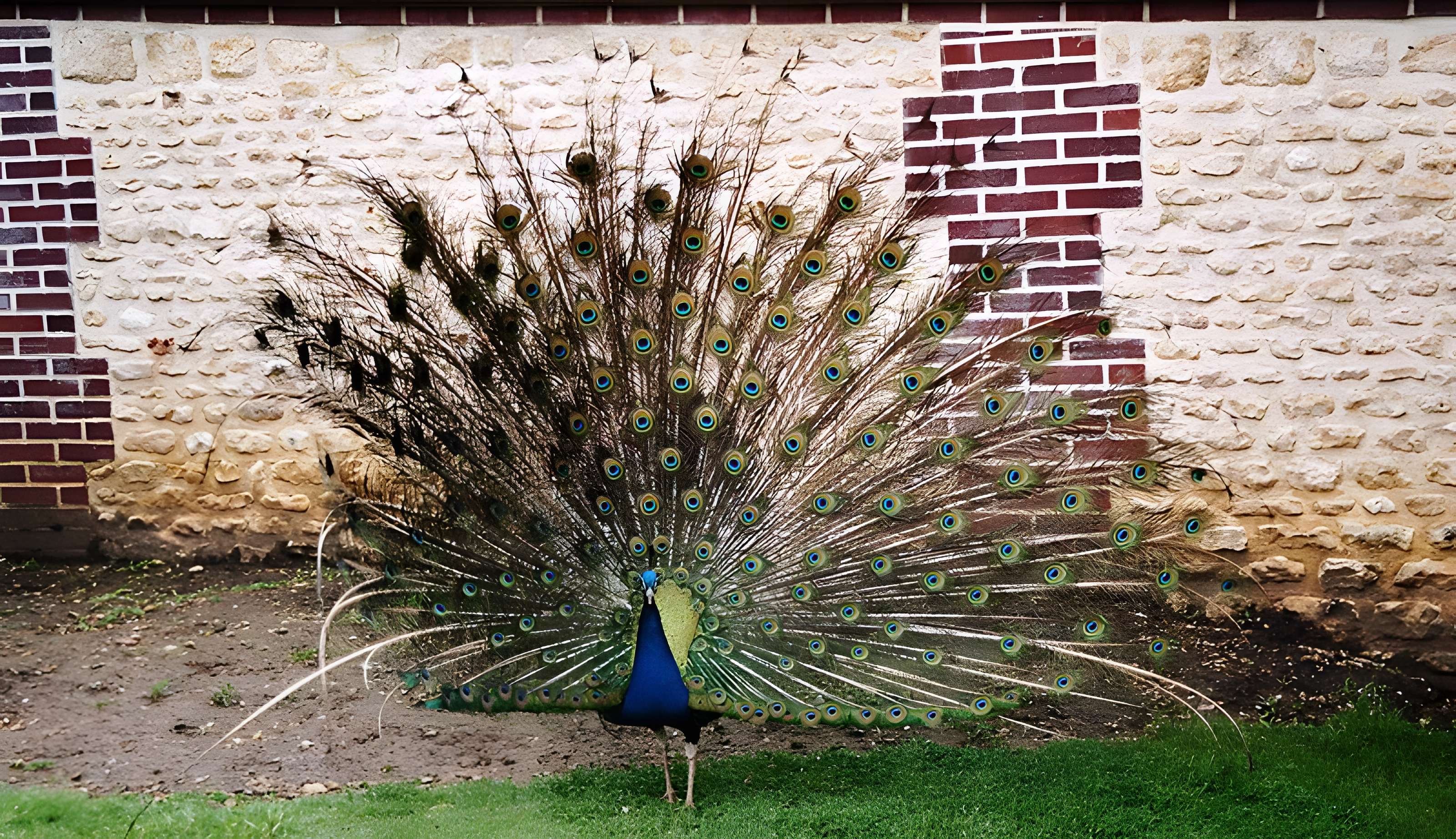 Château de Saint-Germain de Livet
