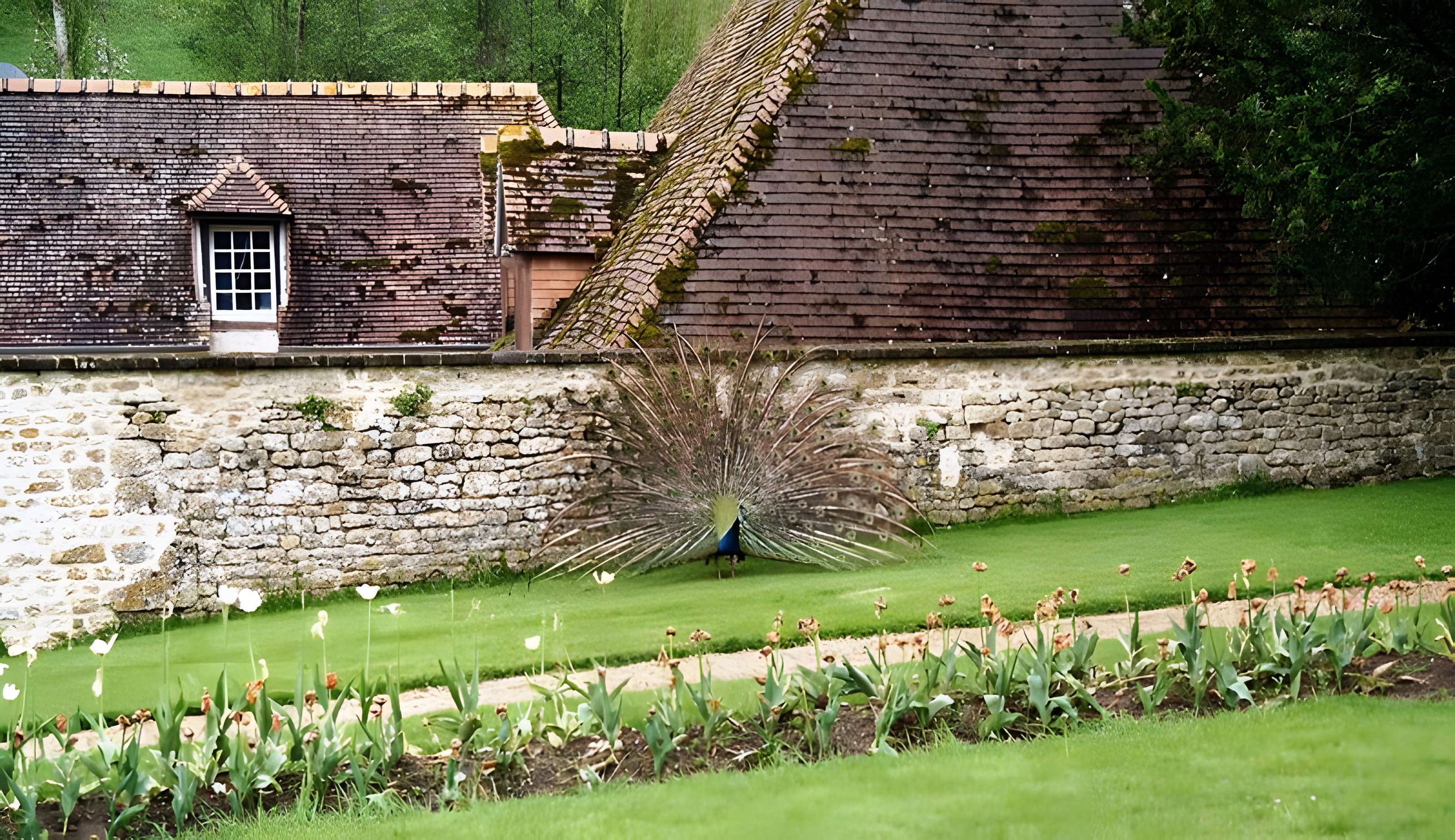 Château de Saint-Germain de Livet