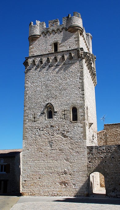 Photo de Château de Saint-Laurent-des-Arbres