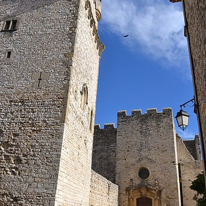 Photo de Château de Saint-Laurent-des-Arbres