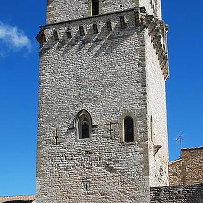 Photo de Château de Saint-Laurent-des-Arbres