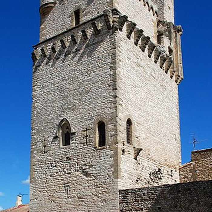 Photo de Château de Saint-Laurent-des-Arbres