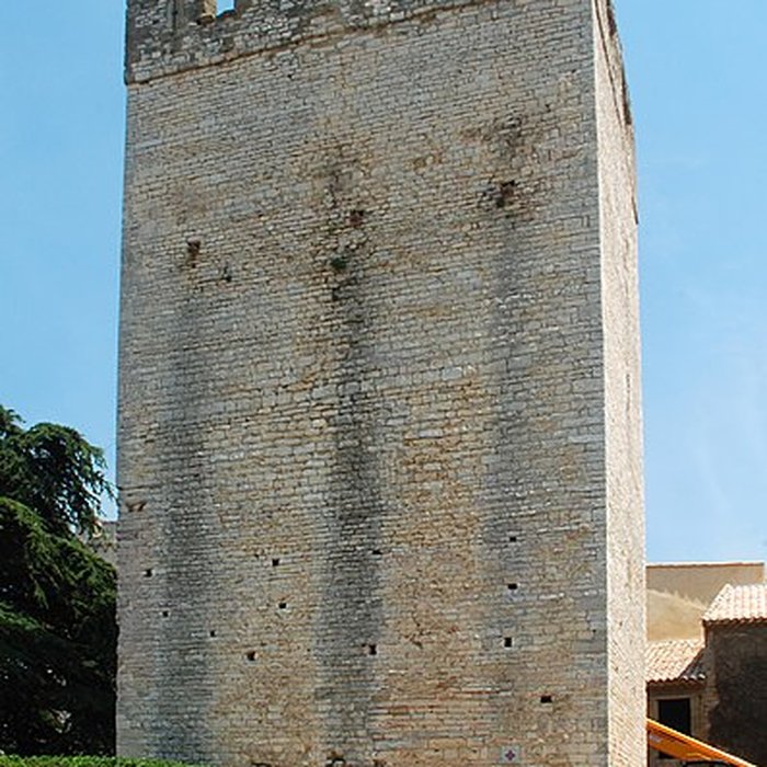 Photo de Château de Saint-Laurent-des-Arbres