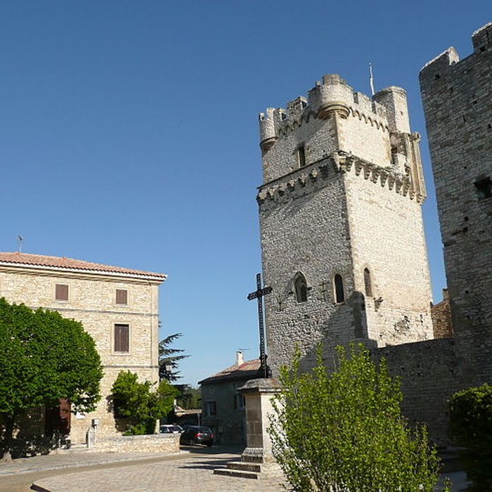 Photo de Château de Saint-Laurent-des-Arbres