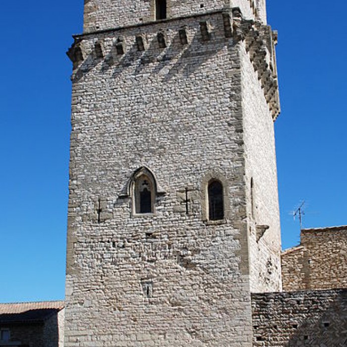 Photo de Château de Saint-Laurent-des-Arbres