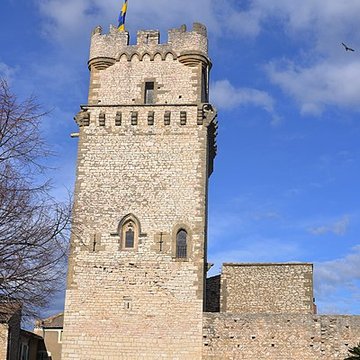 Château de Saint-Laurent-des-Arbres