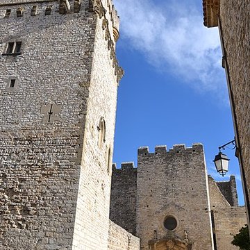 Château de Saint-Laurent-des-Arbres