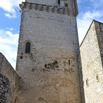Château de Saint-Laurent-des-Arbres
