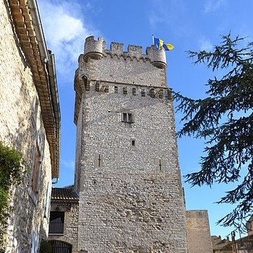 Château de Saint-Laurent-des-Arbres