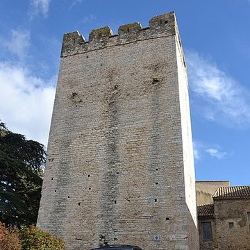 Château de Saint-Laurent-des-Arbres