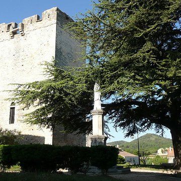 Château de Saint-Laurent-des-Arbres