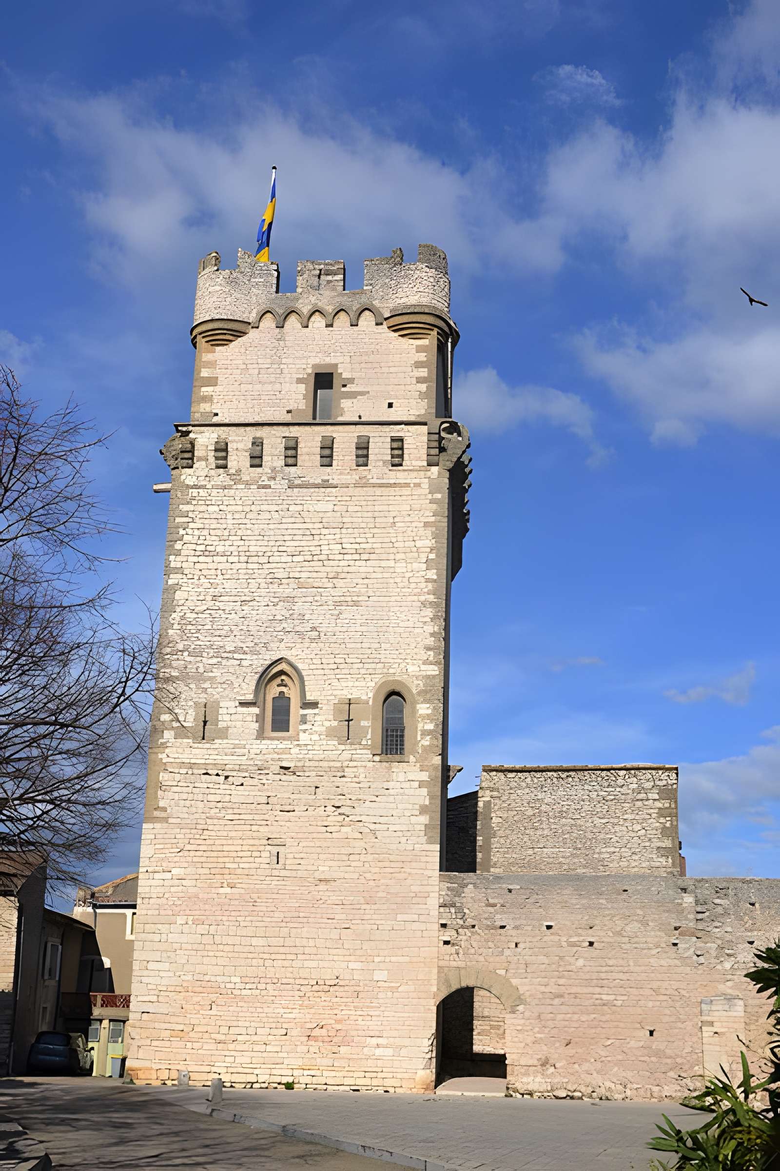 Château de Saint-Laurent-des-Arbres