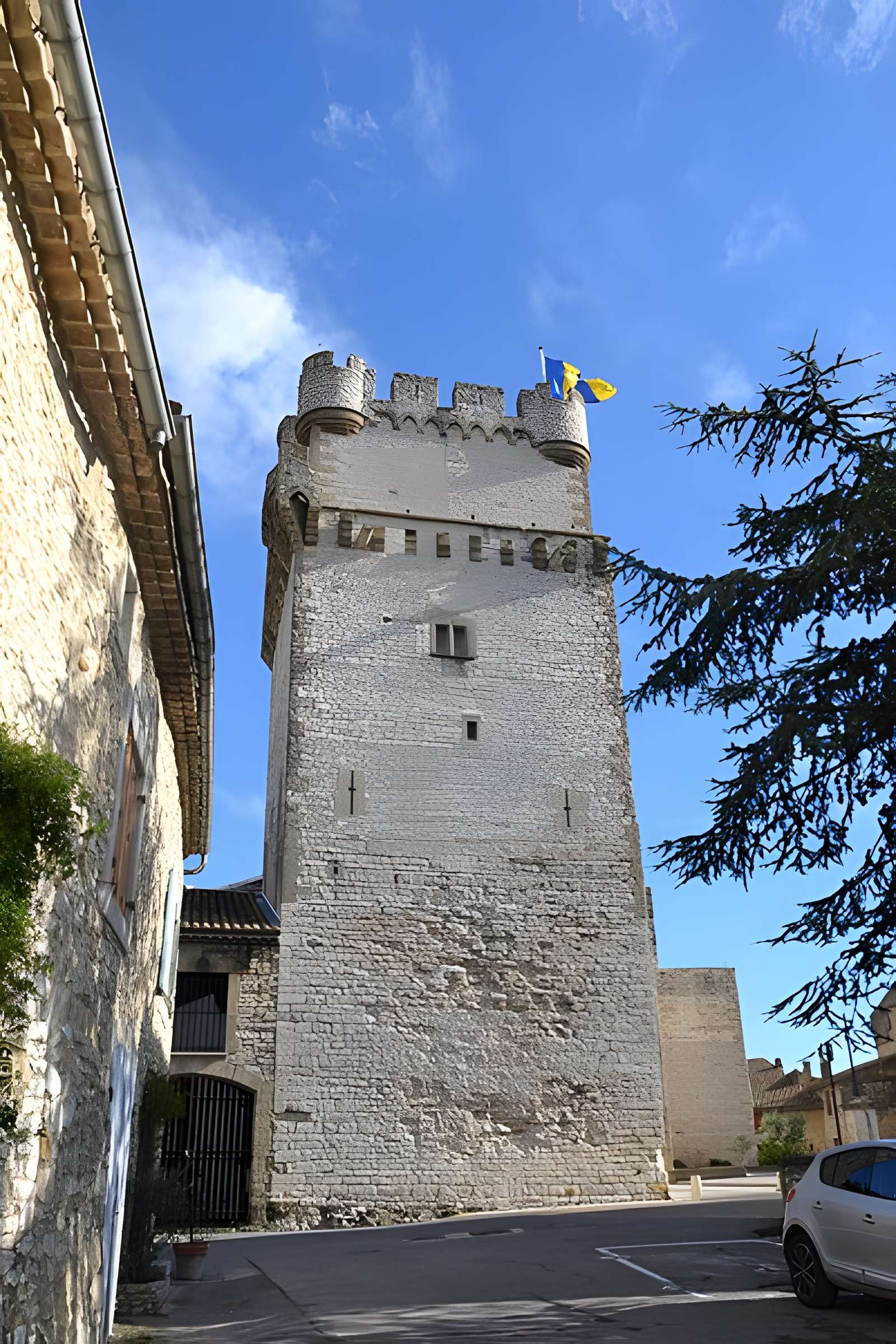 Château de Saint-Laurent-des-Arbres