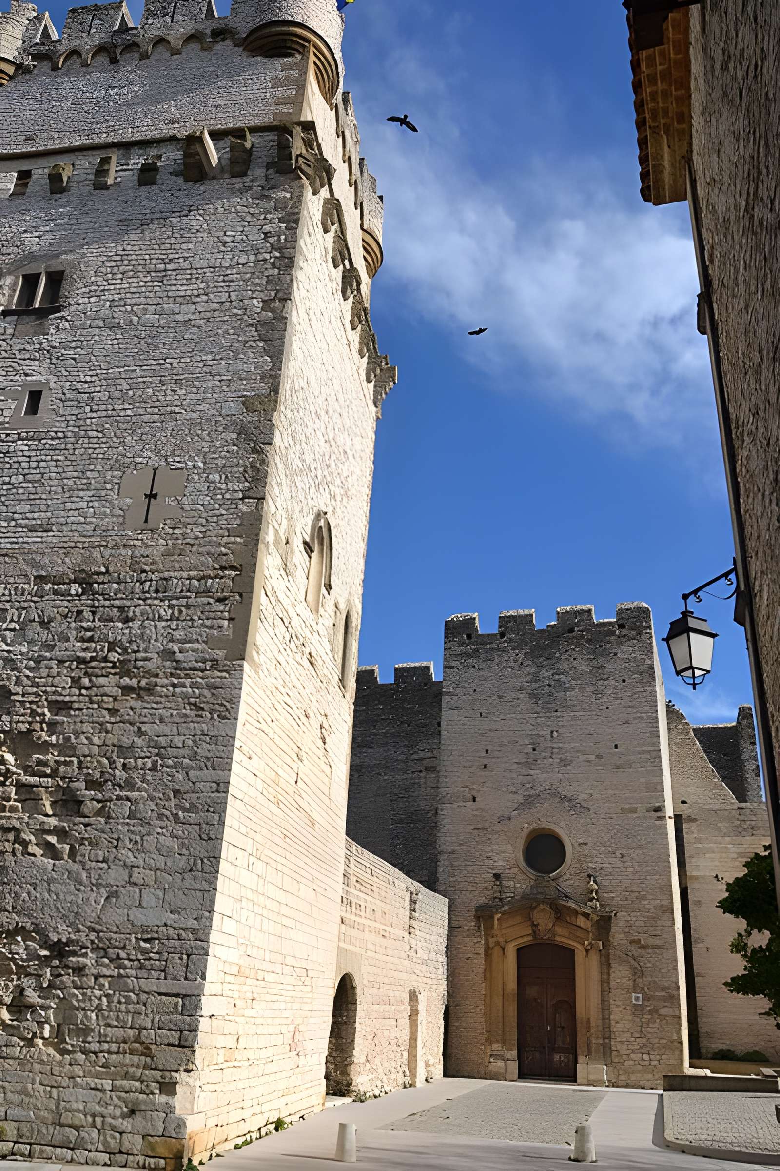 Château de Saint-Laurent-des-Arbres