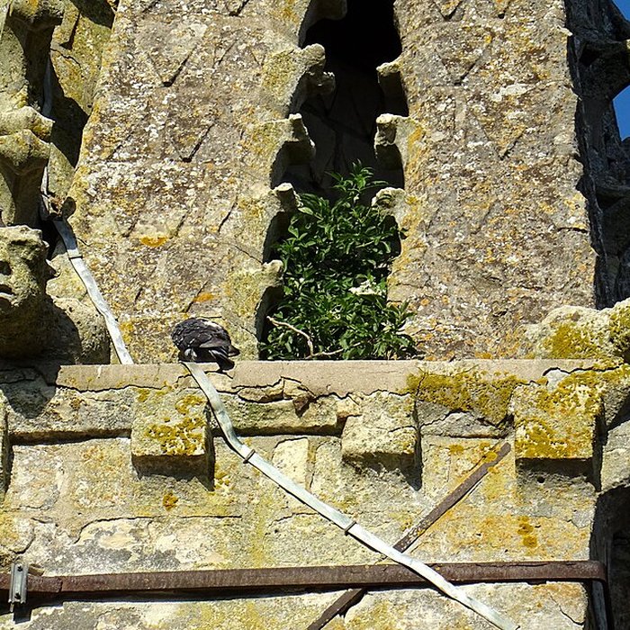 Photo de Église Saint-Martin de Plailly